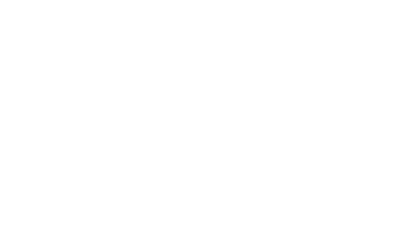 ThruBlack by ViWinTech - ViWinTech Vinyl Windows & Doors